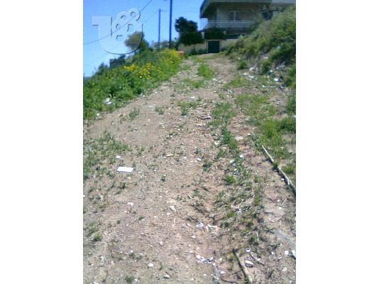 ΠΑΡΑΘΑΛΛΑΣΙΟ ΟΙΚΟΠΕΔΟ ΜΕΓΑΛΗ ΕΥΚΑΙΡΙΑ ΣΤΗΝ ΚΟΡΙΝΘΟ...
